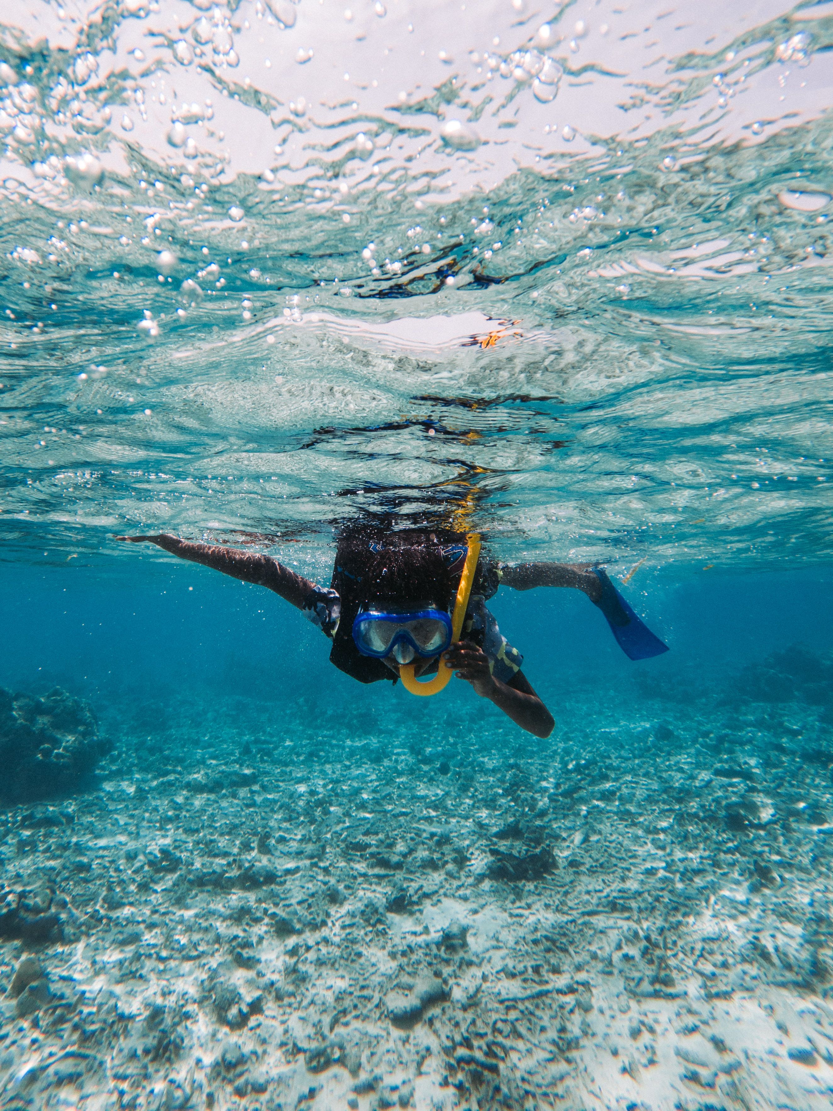 SeaCrates Snorkeling Experience